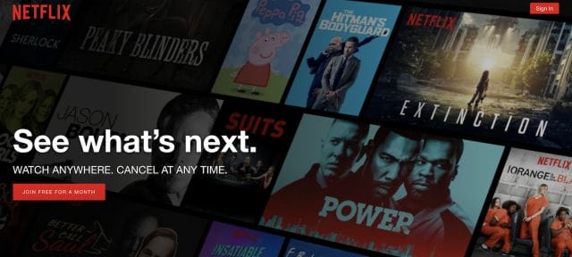 Netflix Landing Page Example