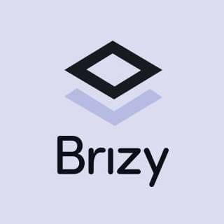 Brizy icon